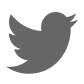 Twitter social media icon